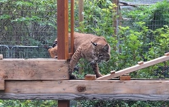 En 20 años de operación,