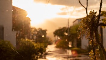 El clima promedio en México