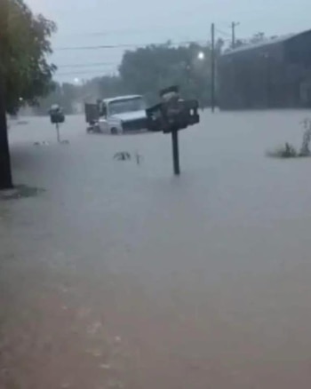 Palo Santo, una de las