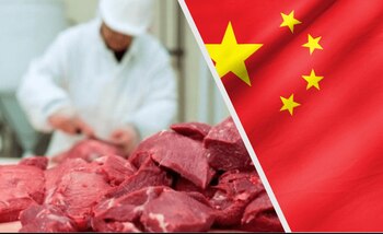 China incrementaría sus compras de carne un 16% en la próxima década