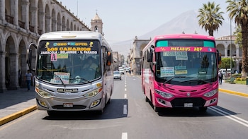 Municipalidad de Arequipa cancela contratos de dos empresas del SIT: ¿qué pasará con el transporte público?