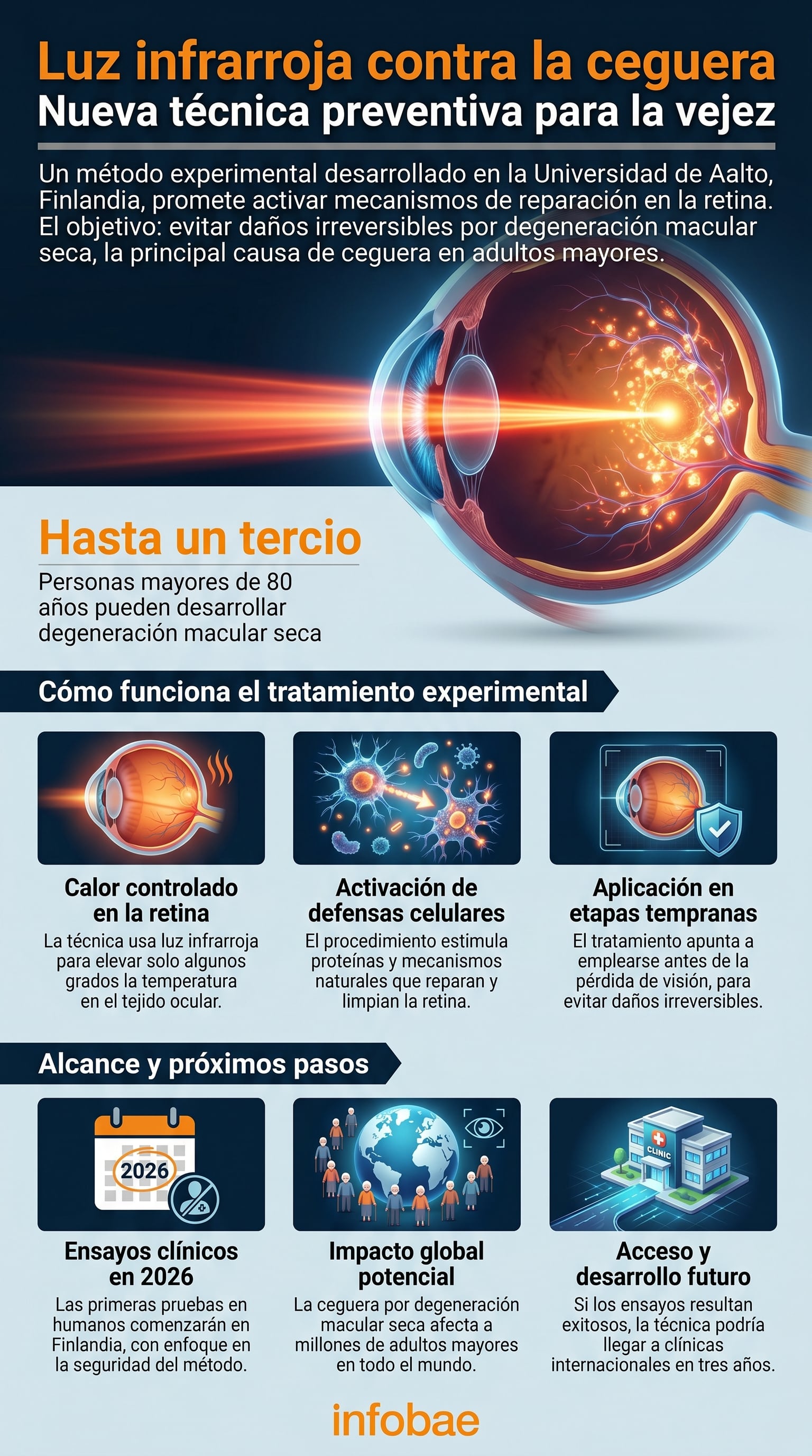 Infografía sobre el nuevo procedimiento se basa en calentar suavemente la retina para estimular las defensas celulares, interviniendo en etapas iniciales de la enfermedad que afecta a millones de adultos mayores (Imagen ilustrativa Infobae)
