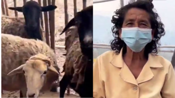 Familia de campesinos desatendió la