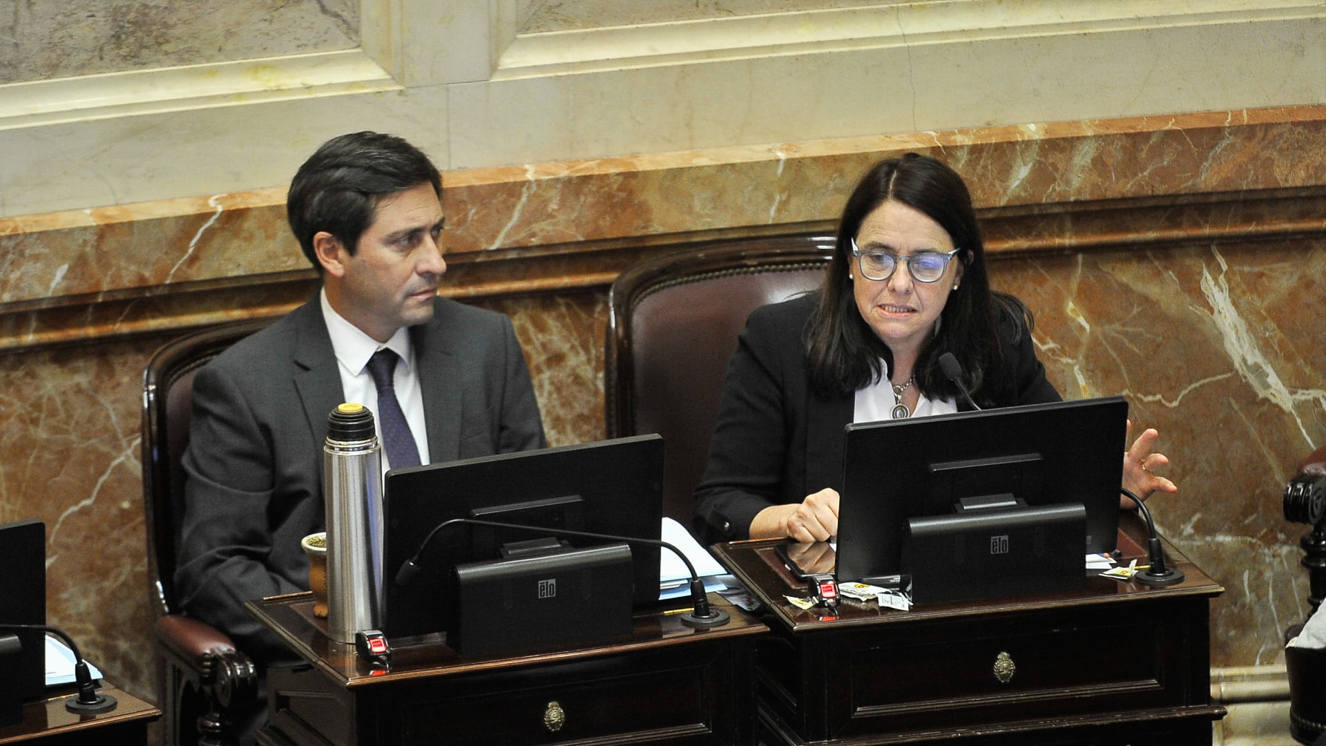 La senadora libertaria Carmen Álvarez Rivero. Se fue del macrismo día atrás, aunque desde el inicio de la gestión Milei estuvo pintada de violeta (Foto: Gustavo Gavotti)