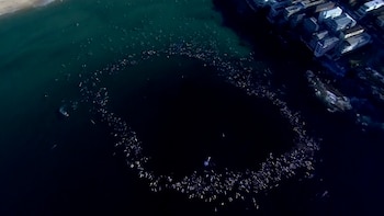 Este viernes fue un "día