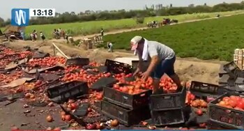 Accidente en la Panamericana sur.