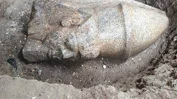 Por casualidad, un agricultor egipcio halló un bloque jeroglífico y permitió descubrir dos estatuas colosales atribuidas a Ramsés II en el delta del Nilo