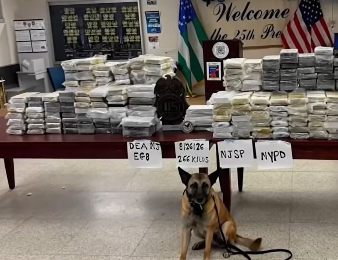 El operativo se realizó en un depósito de autoalmacenamiento de Long Island City, sobre Northern Boulevard, en el condado de Queens (Captura de video)