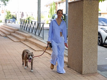 Entre las 10 a.m. y las 4 p.m., las horas de mayor sol, pueden ser peligrosas para pasear perros (EP)