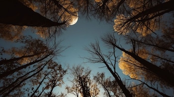 La luna muestra una parte