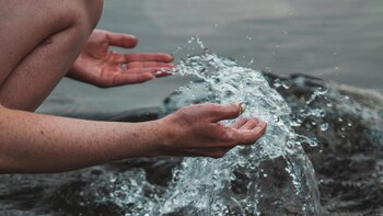 Otra manera de cuidar este