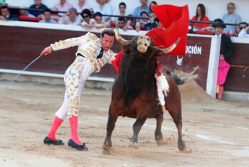 Para los legisladores es importante