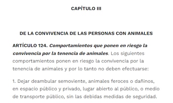 Dejar deambular semoviente, animales feroces o dañinos, en espacio público y privado, lugar abierto al público, o medio de transporte público, sin las debidas medidas de seguridad es un comportamiento que pone en riesgo la convivencia por la tenencia de animales - crédito Ley 1801 de 2016/Función Pública