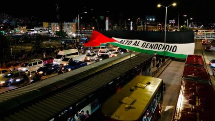 Eliminados y sancionados: bandera gigante de Palestina metería en problemas a Millonarios con Conmebol
