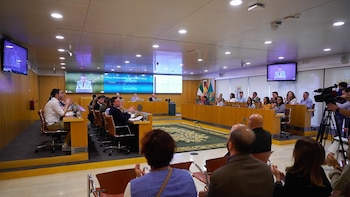 Vox pide a Diputación que