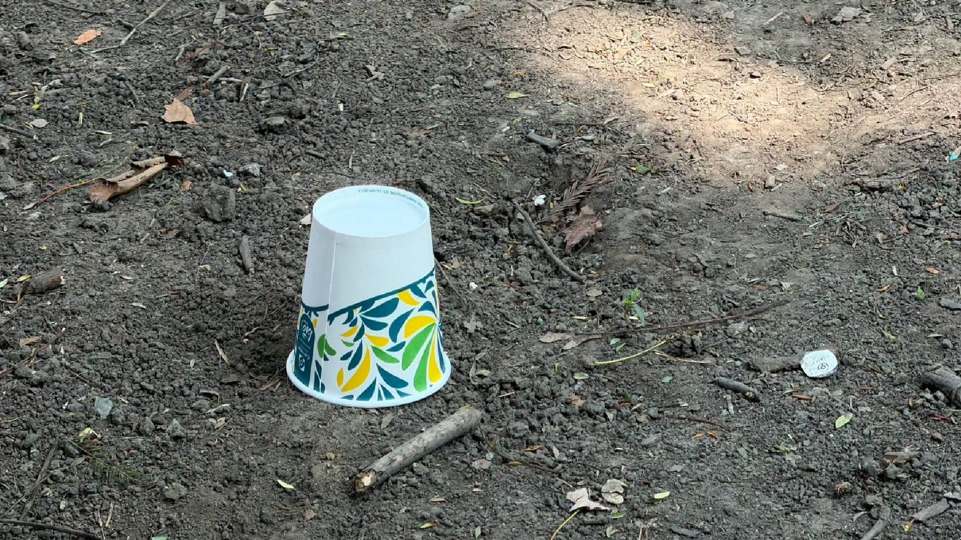 Envenenamiento de perros en Condesa: Fiscalía de la CDMX localiza 14 cebos con insecticida metomil