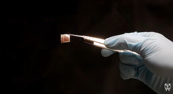 El desarrollo del chip BISC