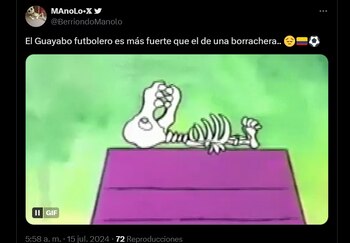 Memes final Copa América -