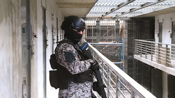 Contendrá 4 mini penales con