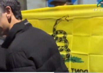 Durante manifestaciones en Medellín, la presencia de la bandera de Gadsden junto a un concejal generó debate sobre el significado histórico y político de este símbolo estadounidense en contextos actuales - crédito captura de pantalla Rtvc