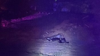 Feminicidio Inseguridad policía Estatal índice