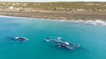 Con aguas profundas, esta costa