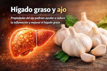 Alimentos como aguacate, brócoli, arándanos, ajo y aceite de oliva destacan por sus propiedades antioxidantes y antiinflamatorias que contribuyen a proteger el hígado y prevenir la acumulación de grasa