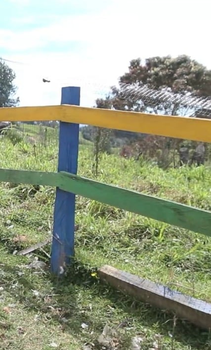 La Fiscalía recibió la denuncia y la Inspección Municipal visitó la finca para verificar las condiciones del lugar y recopilar datos del caso - crédito Captura de video