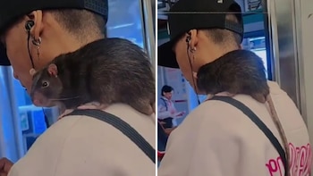 Joven viaja con una rata en el hombro y desata furor en vagón del Metro CDMX: video se vuelve viral