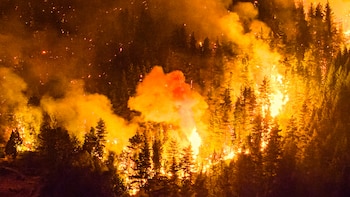 Las fotos más impactantes del