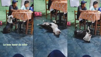 La secuencia en la que