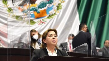 (Foto: Cortesía Cámara de Diputados)