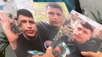 El ‘Rey de las mariposas’: