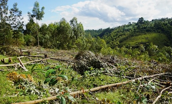 La presencia de caminos y