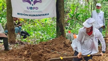 Ley Arles: buscan sancionar a funcionarios que retrasen búsquedas de desaparecidos