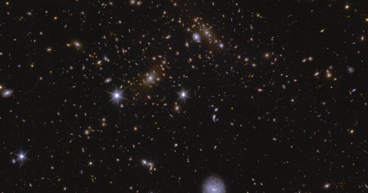 El telescopio espacial Euclid capturó 26 millones de galaxias en su primer envío de datos - Infobae