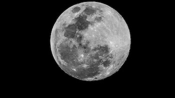 Todo sobre la Luna de