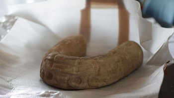 Desde Austria, regresó a México