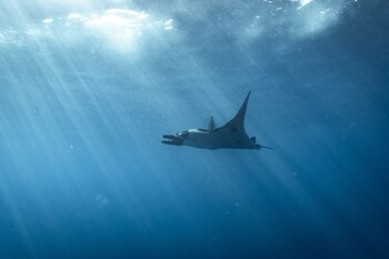 El gobierno de Ecuador aseguró