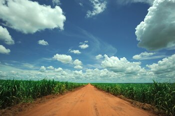 Tanto los premiados, como