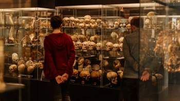 Los museos europeos enfrentan el pasado colonial: un debate abierto sobre justicia e identidad