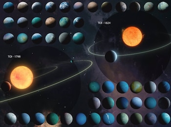 Durante tres años, científicos analizaron