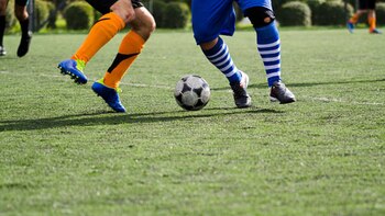 El Gobierno pretende frenar situaciones