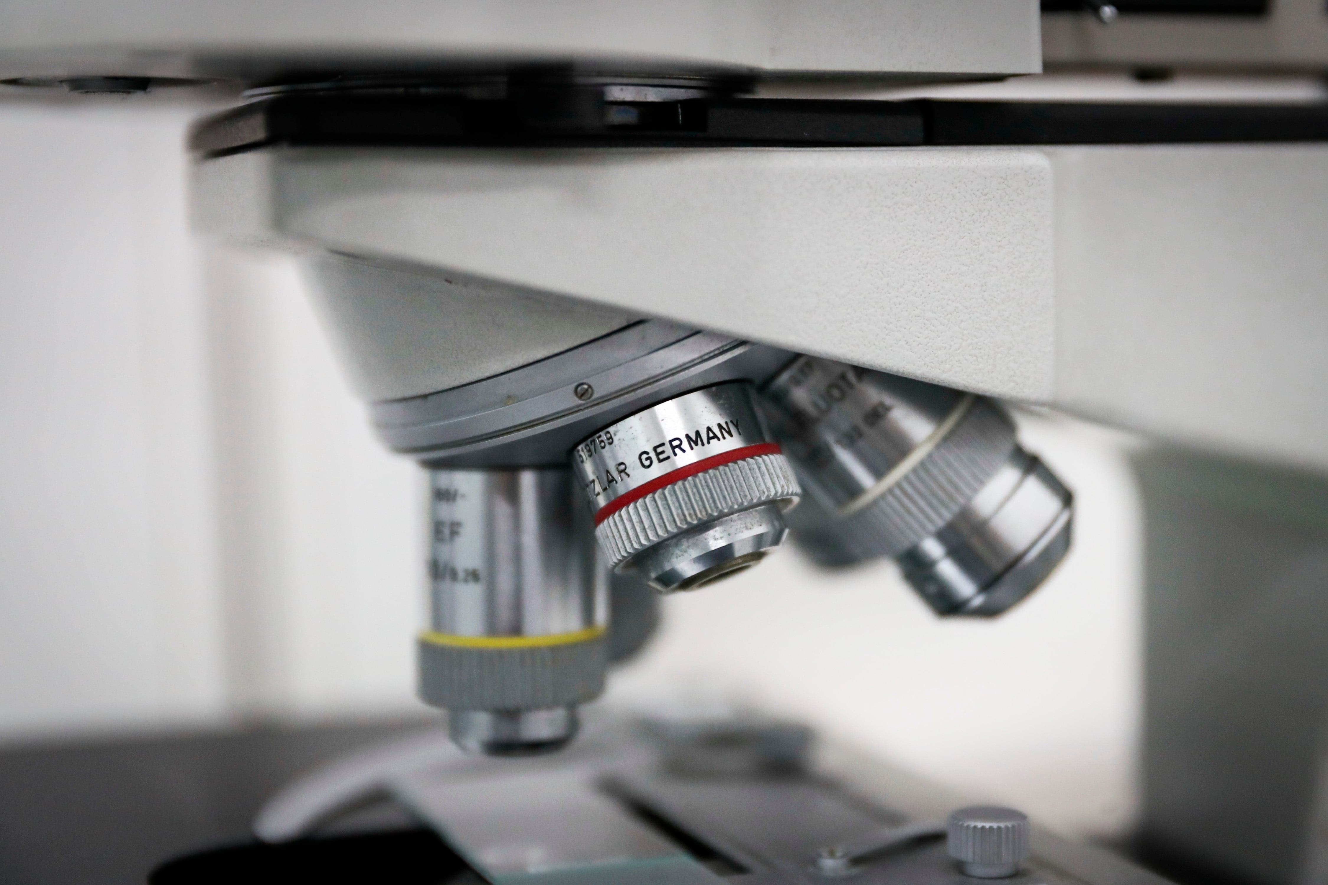 Carbon-X puede predecir si una mutación genética es benigna o está asociada a una enfermedad. (EFE)