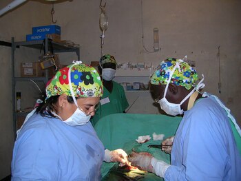 Estela Celia Kohn trabajando con