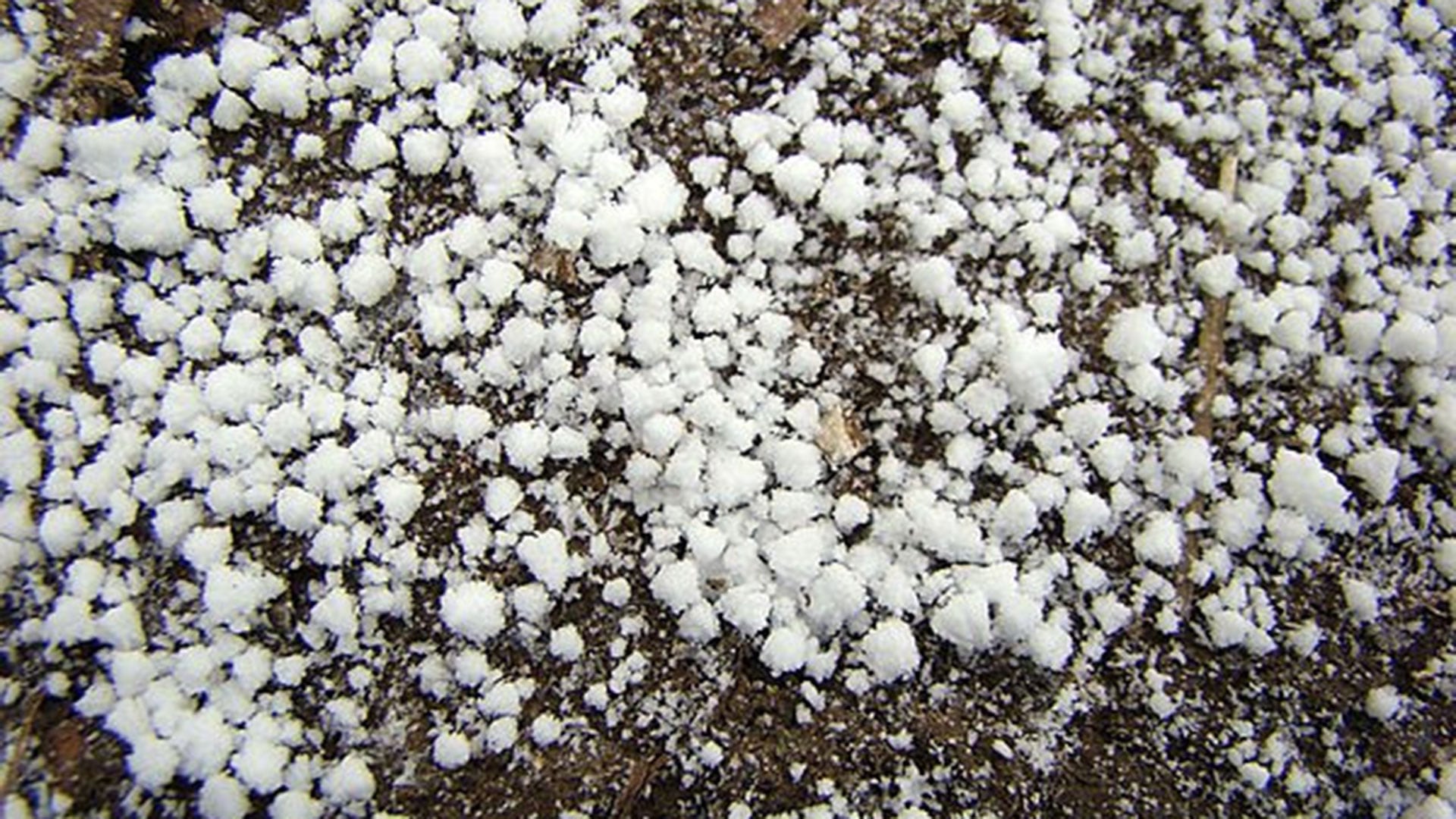 El graupel se distingue porque no tiene estructura sólida y necesita aire muy frío, humedad y movimientos verticales en la nube para su formación (Andy Hibberd/NOAAA)