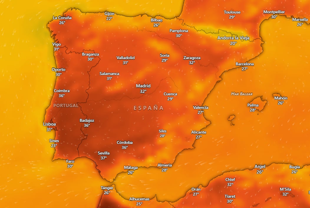 Mapa de la temperatura de España el domingo 13 de septiembre de 2026. (Windy)