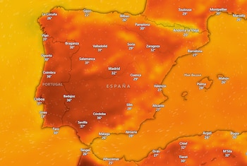 Mapa de la temperatura de España el domingo 13 de septiembre de 2026. (Windy)