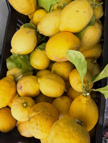 Numerosos limones amarillos de piel rugosa, algunos con hojas verdes, se apilan densamente en un contenedor oscuro