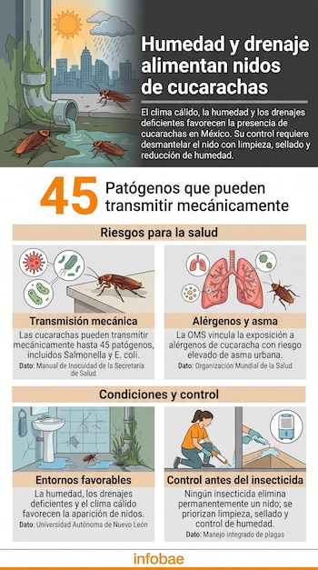 Infografía con ilustraciones de cucarachas en tuberías, bacterias, pulmones, un baño dañado y una persona sellando una pared con silicona.